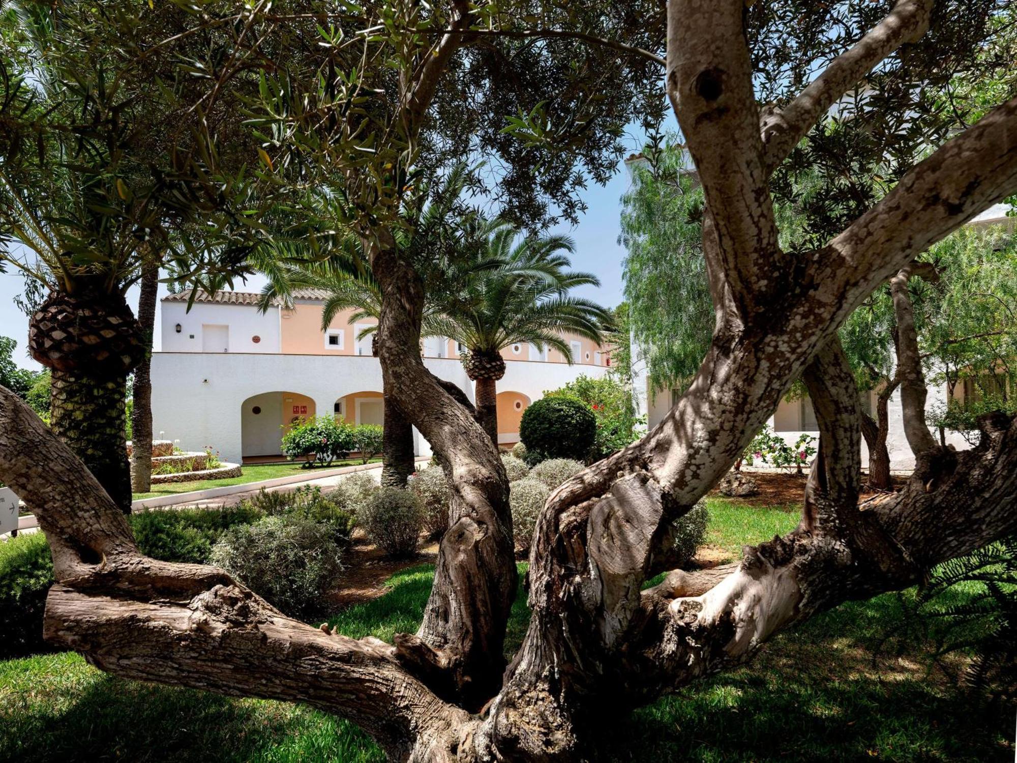 Sol Falco Menorca Son Xoriguer Exterior photo
